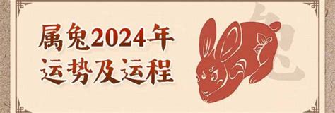 兔2024|生肖兔2024年运程 生肖兔2024年每月运势大全